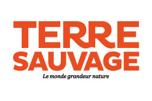 Terre sauvage article - Béatrice Maine