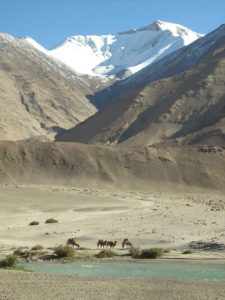 Voyage en Mongolie - Béatrice Maine