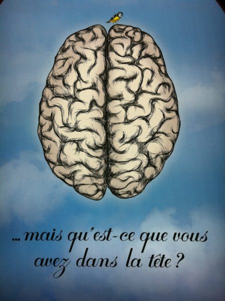 cerveau, mémoire