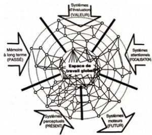 espace de travail neuronal, formation neurosciences, neurodanse, accomapgnement solo entrepreneur, life art process, art thérapie, danse thérapie, formation cerveau, processus de changement