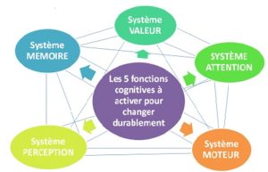 espace de travail global neuronal