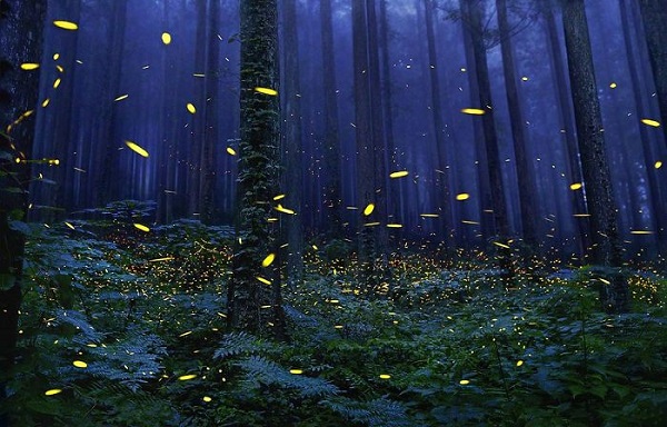 nuit dansé, rituel de pssage, nouvel an,, intention 2019, passage