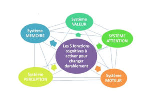 CAlendrier neurodanse formation neurosciences